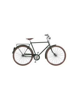 Cykel Pilen Lyx Special Herr 7vxl Helfärgad DuraGrön