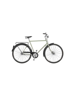 Cykel Pilen Lyx Special Herr 7vxl Ljusgrön